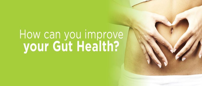 Gut Health